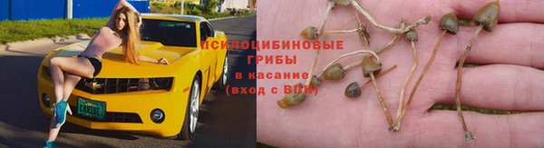 не бодяженный Заводоуковск