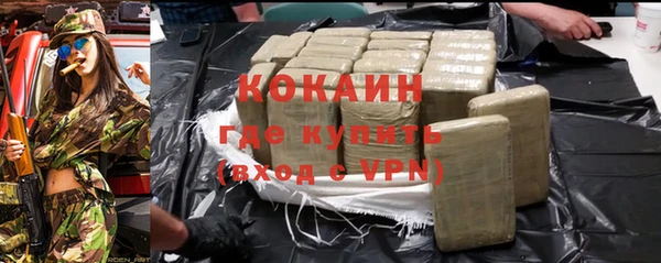 не бодяженный Заводоуковск