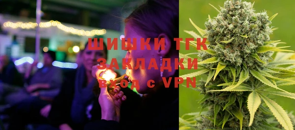не бодяженный Заводоуковск