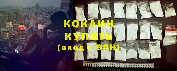 не бодяженный Заводоуковск