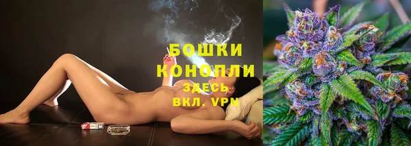 сатива Заволжье