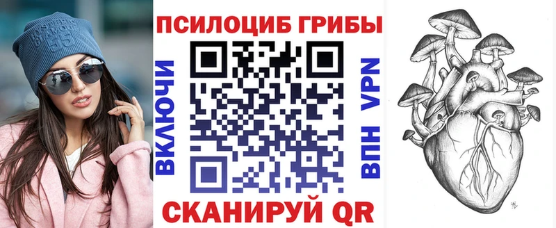 MEGA ССЫЛКА  Каменногорск  Псилоцибиновые грибы мухоморы  продажа наркотиков 